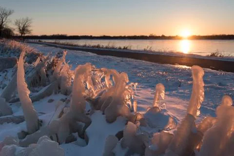 Ice Covered Plants Catch the Light of Sunset Stock Photos