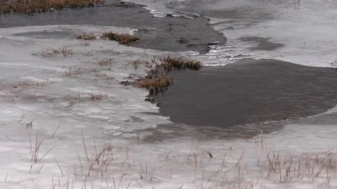 Ice-Covered Stream in Western Mongolia Stock Footage 234219417