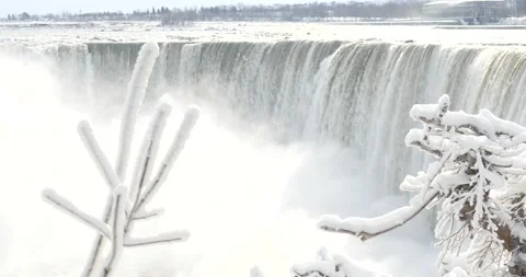 Ice covered tree at Niagara falls during cold winter close up Stock Footage 229599011