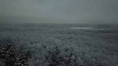 Ice covered trees Stock Footage 208252158