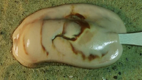 Ice Cream Bar Melts into Puddle on Sand Stock Footage 75680050