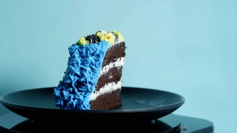 Ice Cream Cake Stock Footage 227903983