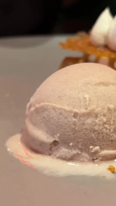 An ice cream dessert is accompanied by a slice of tiramisu cake. The creamy ice Stock Footage 308839853