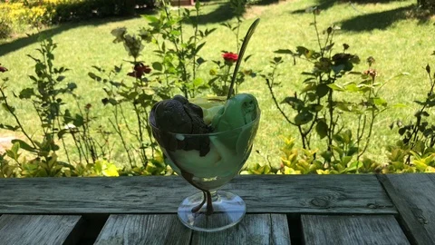 Ice-cream. Stock Footage 91930017