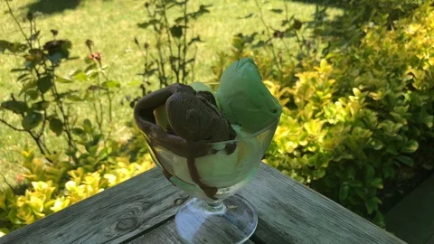 Ice-cream. Stock Footage 91932364