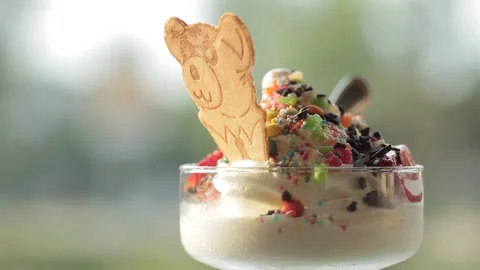 Ice Cream Stock Footage 172068085