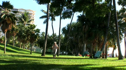 Ice cream in Paradise Stock Footage 624254