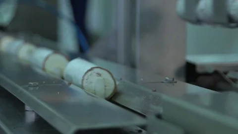 Ice cream production Stock Footage 80276680