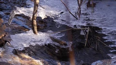 Ice in the creek in spring Stock Footage 303264292
