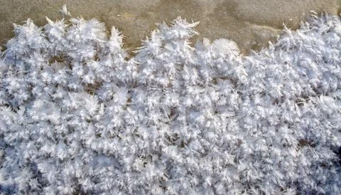 Ice cristals Stock Photos