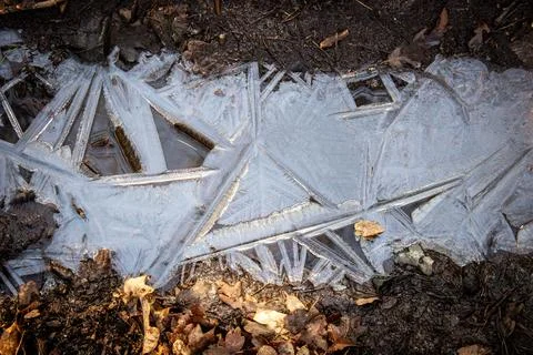 Ice crystal forming in puddle of mud on a cold winter day Stock Photos