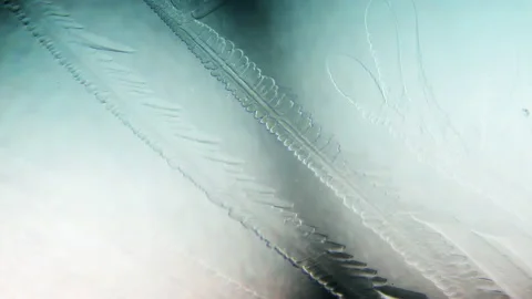 Ice crystal forming under the microscope in slow motion,  ice flowers forming Video stock 158615562