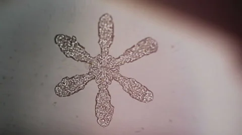 Ice crystal melts under the microscope Stock-Footage 60696450