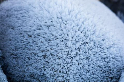 Ice crystal Stock Photos
