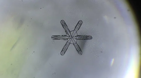Ice crystal snowflake melts under the microscope Stock Footage 60563659