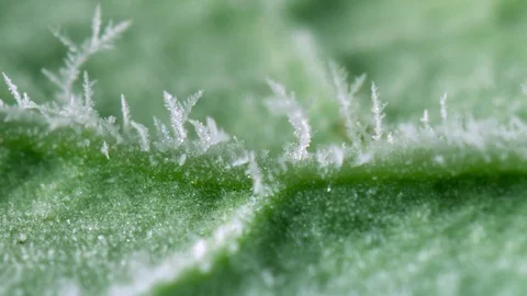 Ice crystals 2 Stock Footage