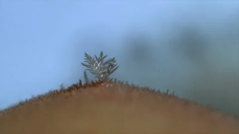 Ice crystals 4 Stock Footage 187788494