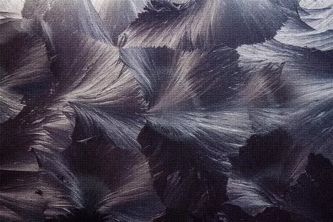 Ice crystals creating beautiful pattern on frosted window during winter Stock Photos