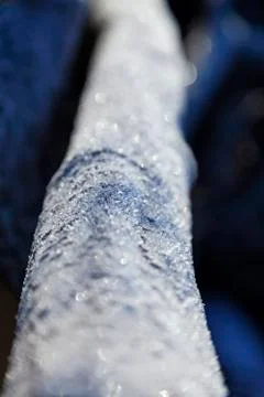 Ice crystals on a fallen tree lying in the forest Stock Photos