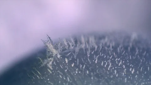 Ice crystals Stock Footage 98763063