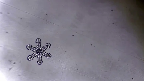Ice crystals form a drop of water Video stock 72786657