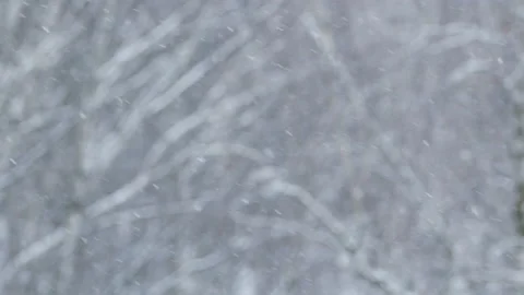 Ice crystals that grow while suspended in the atmosphere. Winter landscape. 스톡 동영상 146358789