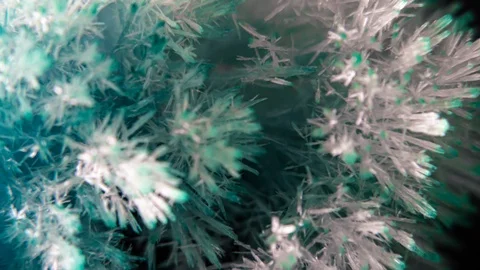 Ice Crystals Growing Time Lapse Stock Footage 117489065