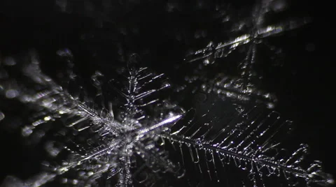 Ice crystals melt under a microscope Stock Footage 60563601