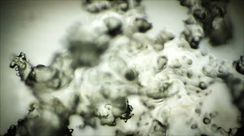 Ice crystals in a microscope Stock Footage 34618992