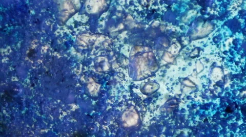 Ice Crystals Moving in water Stock-Footage 64901411