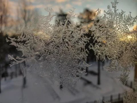 Ice crystals pattern on window glass closeup view Stock Photos