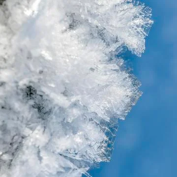 Ice crystals Stock Photos