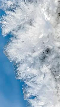 Ice crystals Stock Photos