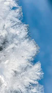 Ice crystals Stock Photos