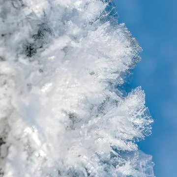 Ice crystals Stock Photos