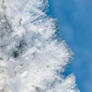 Ice crystals Stock Photos