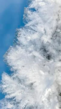 Ice crystals Stock Photos