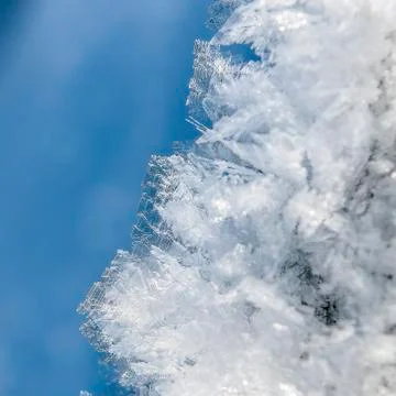 Ice crystals Stock Photos
