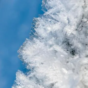 Ice crystals Stock Photos