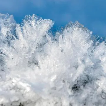 Ice crystals Stock Photos