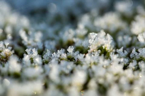 Ice Crystals Stock Photos