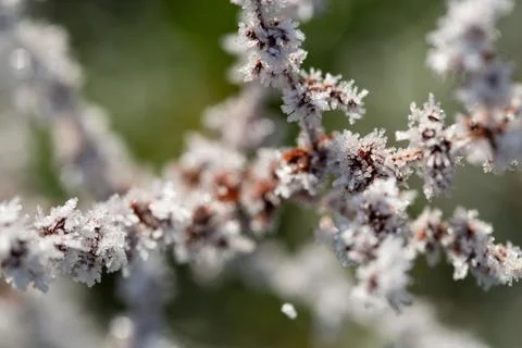 Ice Crystals Stock Photos