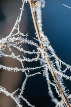 Ice Crystals Stock Photos
