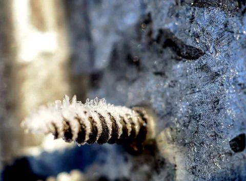 Ice crystals on a rusty self-tapping screw illuminated by the morning sun Stock Photos