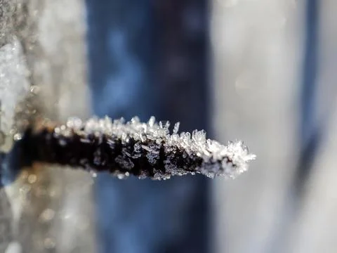 Ice crystals on a rusty self-tapping screw illuminated by the morning sun Foto stock
