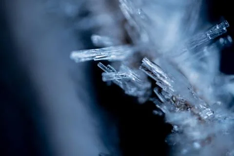 Ice crystals on tree branches. Ice needles on a branch. Fotos Stock
