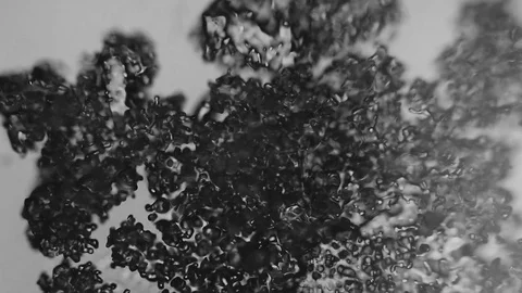 Ice crystals under the microscope Stock Footage 75811603