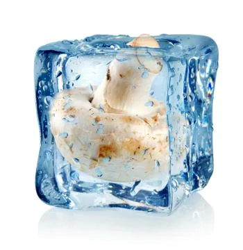 Ice cube and champignon Stock Photos