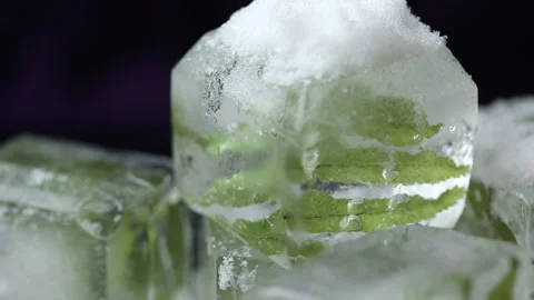 Ice cube and fresh green fern leaves  background. Macro Video stock 169313583