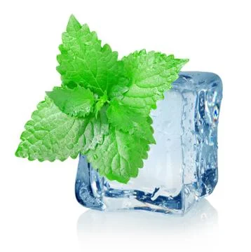 Ice cube and mint Stock Photos